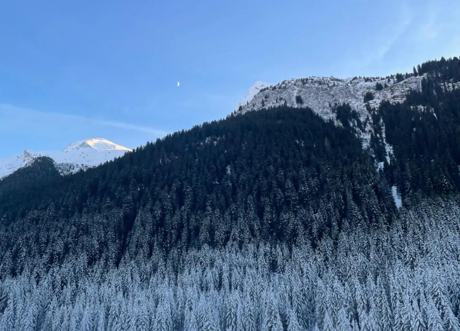 Apartment T2 Myrtille A Champagny Le Haut Vanoise La Plagne
